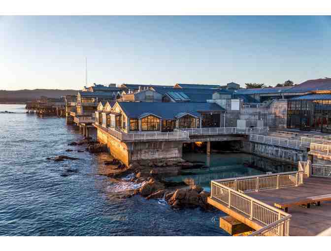 Four Tickets to the Monterey Bay Aquarium