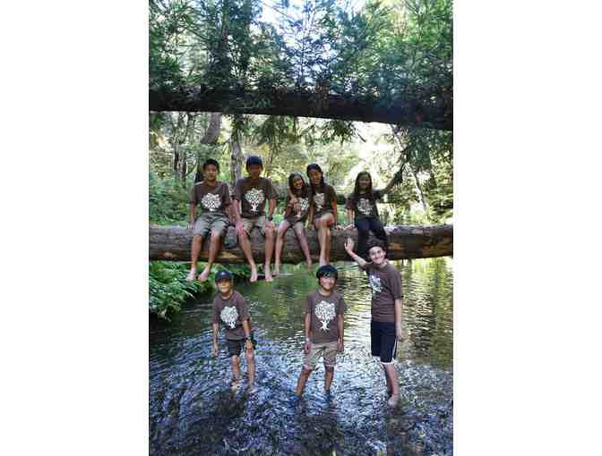 $50 Certificate for Feelosopher's Path