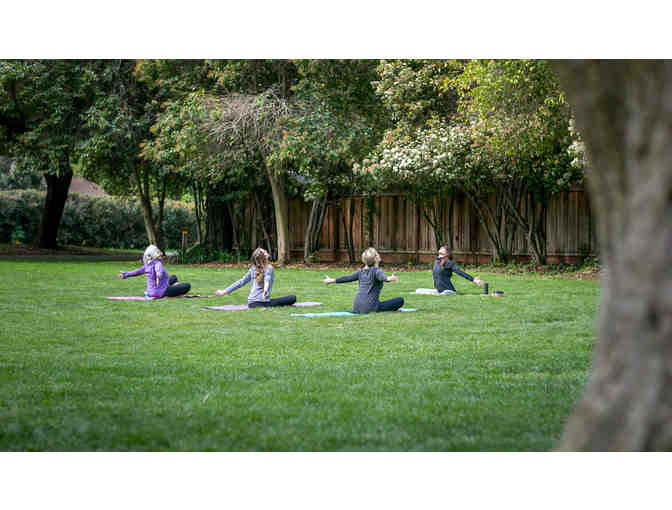 Corporate Yoga 3-Class Pack with Lauren Olesh Yoga
