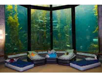 Night at the Aquarium! Monterey Bay Aquarium Sleepover for 4