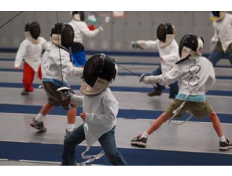 Fencing Birthday Party
