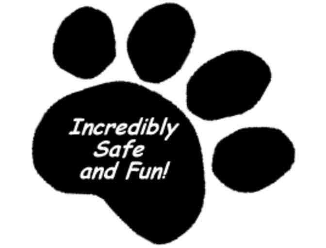 Camp Four Paws Gift Certificate - 1 Day Overnight Lodging with full service bath