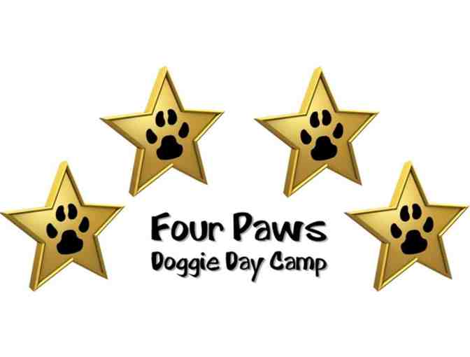 Camp Four Paws Gift Certificate - 1 Day Overnight Lodging with full service bath