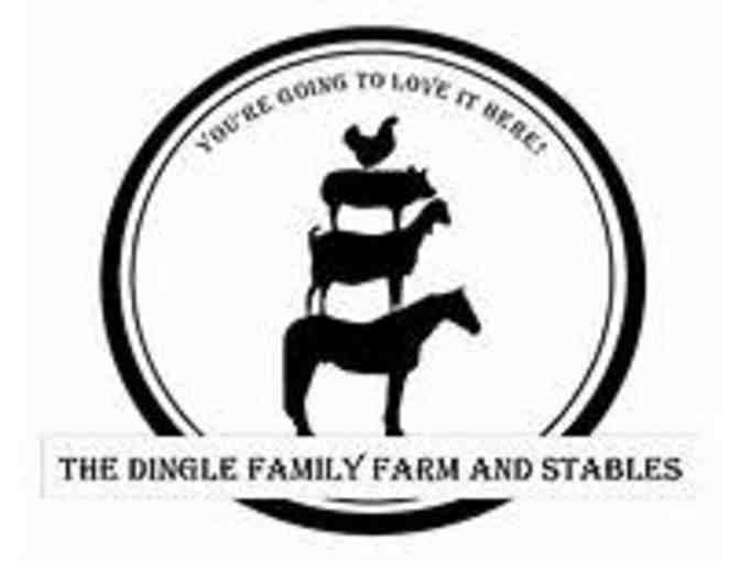 Pony Playdate at Dingle Family Farm (1 of 2) - Photo 1