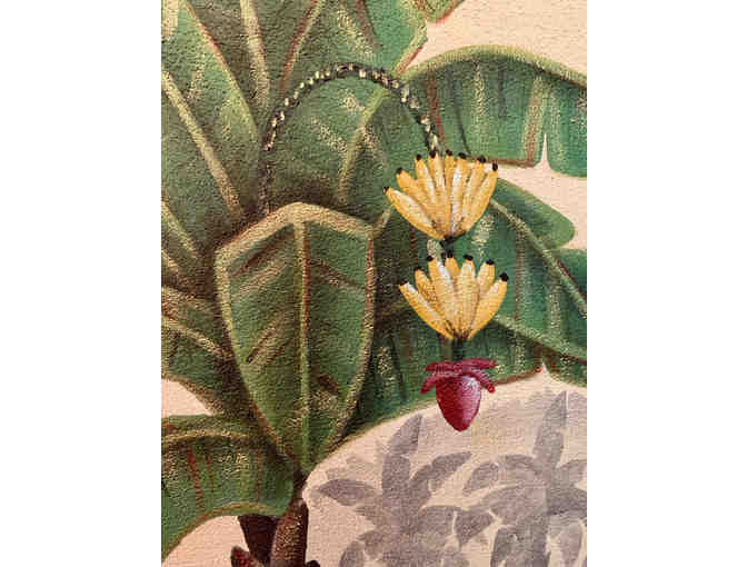 Banana Palm, Acrylic Painting by C.K. McKinley