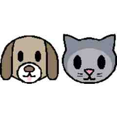 Precious Pet Sitting