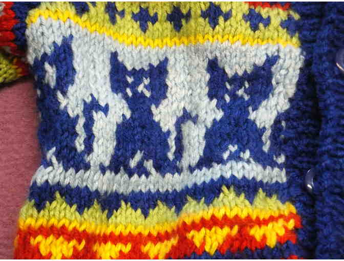 Knitted Sweater with Cats and a Hat