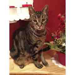 Alycia and Lou Einstein