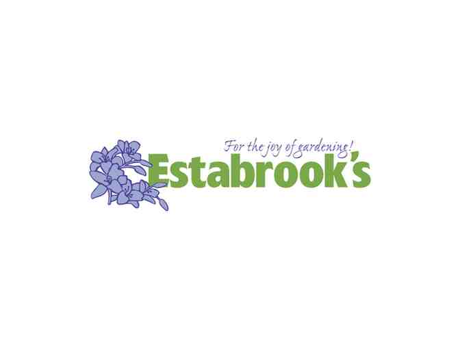 $50 to spend at Estabrook's - Photo 1