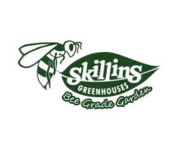 $100 to spend at Skillins Greenhouses - Photo 1