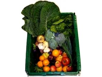 Boston Organics -  Organic Produce Delivery