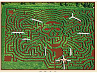 Day Pass for 4 to Davis Farmland or Davis Mega MAze