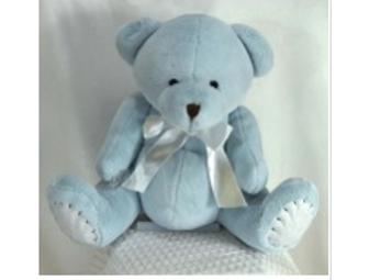 Gift To Go Plush Bear with Boo Bunnie Ice pack