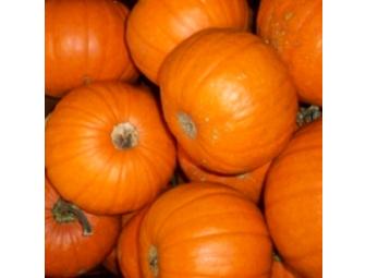 Boston Organics -  Organic Produce Delivery