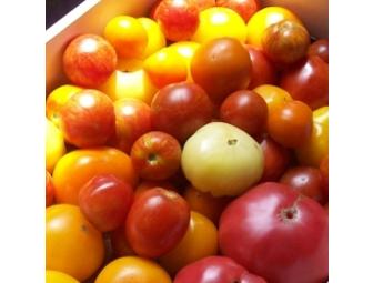 Boston Organics -  Organic Produce Delivery