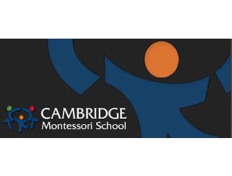 Vacation Camp - Cambridge Montessori School - April Vacation