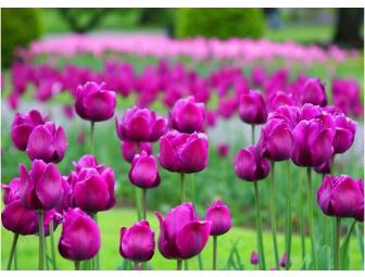 PhotoWalk - Historic Walking Tours of Boston with a Photographic Edge