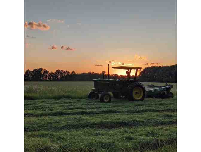 Farm to Table Dinner Experience- Live Preview ONLY!