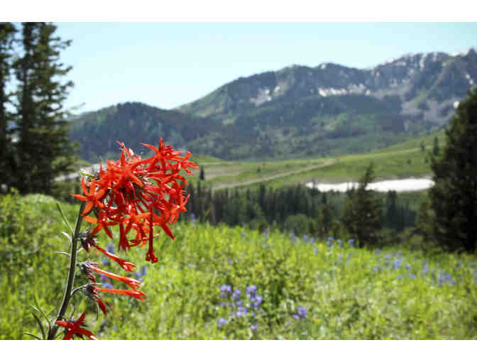 7 Nights in Breathtaking Deer Valley, Utah