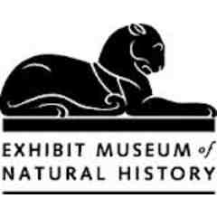 University of Michigan Exhibit Museum of Natural History
