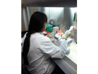 A Day In The Life of a Stem Cell Researcher