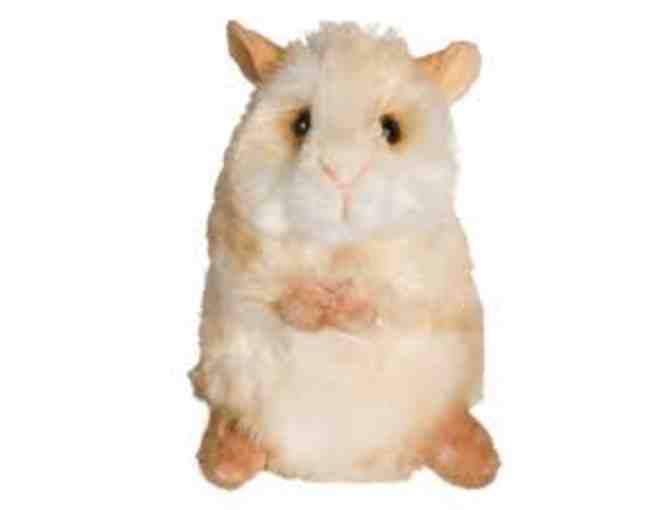 $50 Gift Card to Franklin's Toys