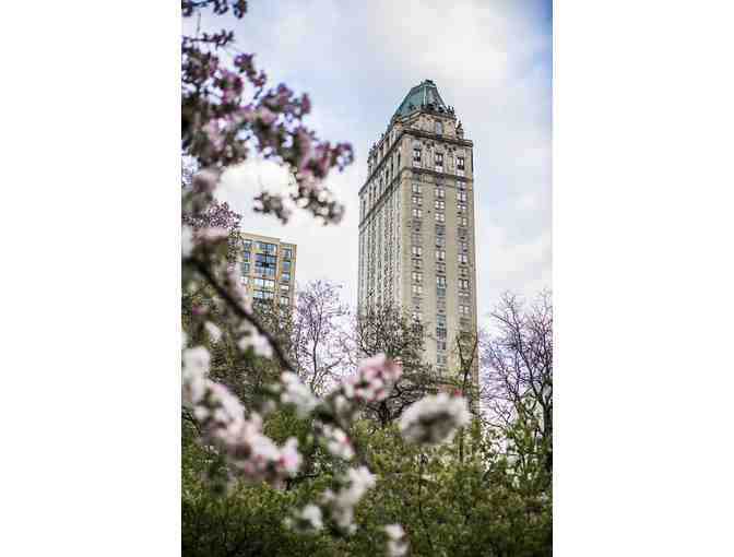 MASTERPIECE IN NEW YORK CITY