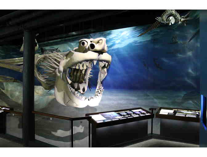 Four (4) passes to Calvert Marine Museum and four (4) river cruise passes