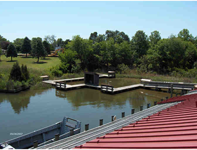 Four (4) passes to Calvert Marine Museum and four (4) river cruise passes