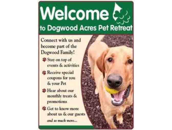 2 Day Canine/Feline All-inclusive Happy Camper Getaway (2 of 2)