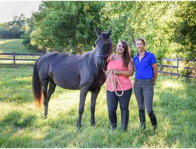 Private Riding Lesson or Trail Ride at Clarity Riding in Davidsonville