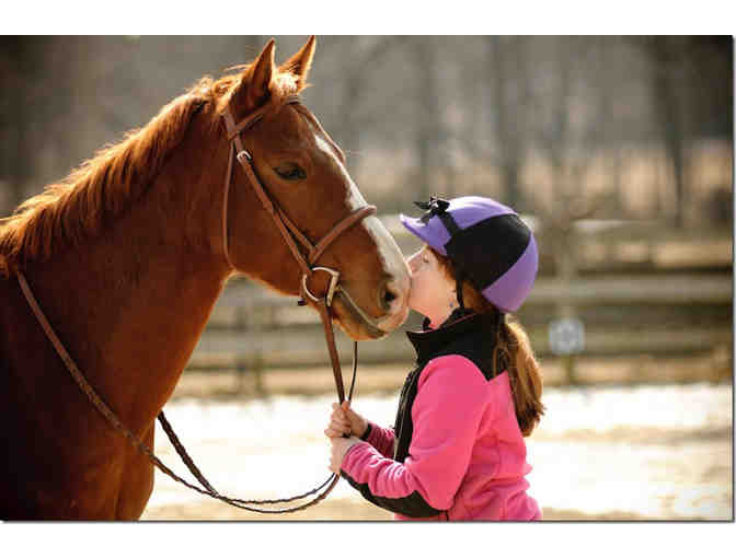 Private Riding Lesson or Trail Ride at Clarity Riding in Davidsonville - Photo 1