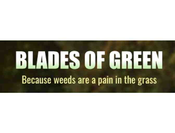 Ready to Enjoy Your Yard Without Mosquitoes, Fleas & Ticks?