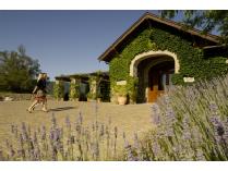 Cardinale Winery Estate Exclusive Stay, Tour and Wine