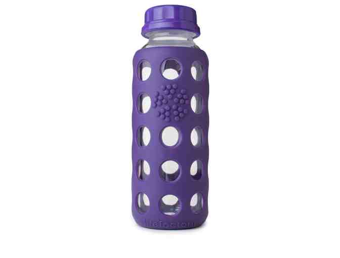 Family Set of Lifefactory Glass Water Bottles