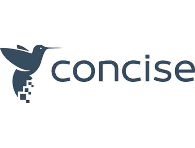 Concise Computer Consulting 2 Hours of IT Support/Service