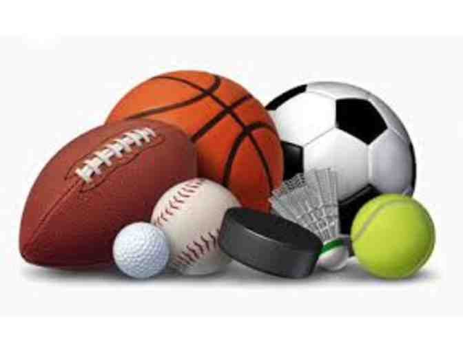 Lifetime Family Athletic Pass