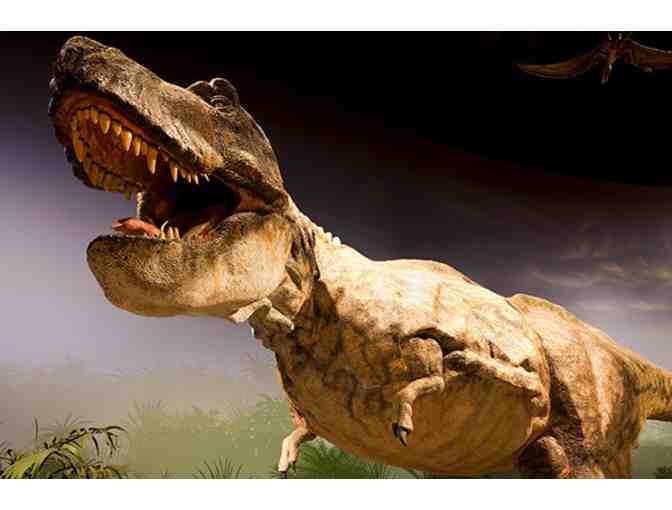 Creation Museum - (4) Two Day Admission Tickets