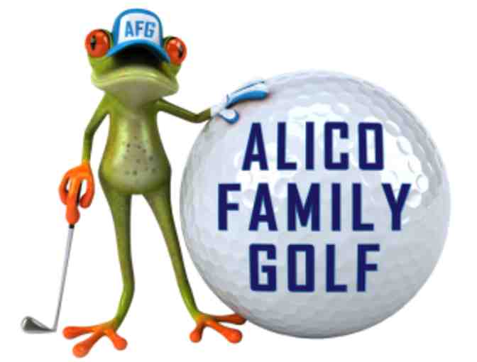 Alico Family Golf - (4) Small Buckets of Range Balls