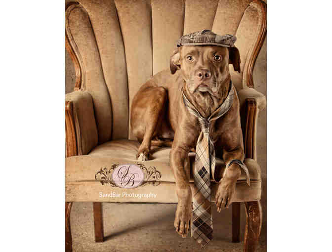 SandBar Photography $500 Gift Certificate