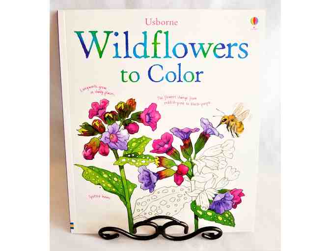 Usborne Collection of Books