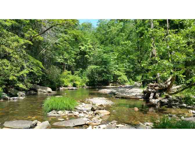 1 Week Cabin Rental in Murphy, North Carolina