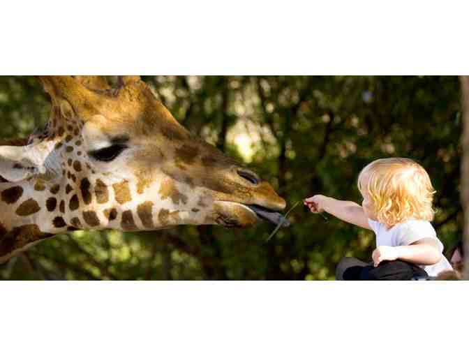 Naples Zoo - Family 4 Pack of Tickets