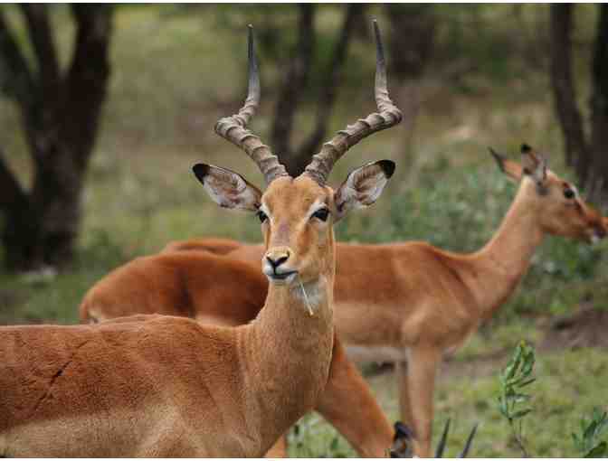 Charity Safaris- South Africa Hunting Safari for 3 Hunters