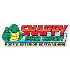 Snappy Pro Wash