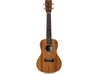 Donavon Frankenreiter Personal Board Plus Ukulele and Guitar