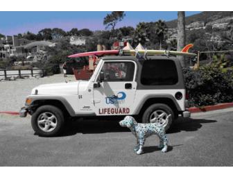 Neptune the Aqua Dog