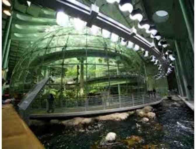 4 Tickets to California Academy of the Sciences
