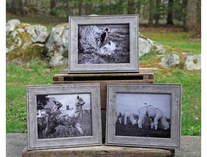 Art - B&W Signed Photography in Driftwood Frames