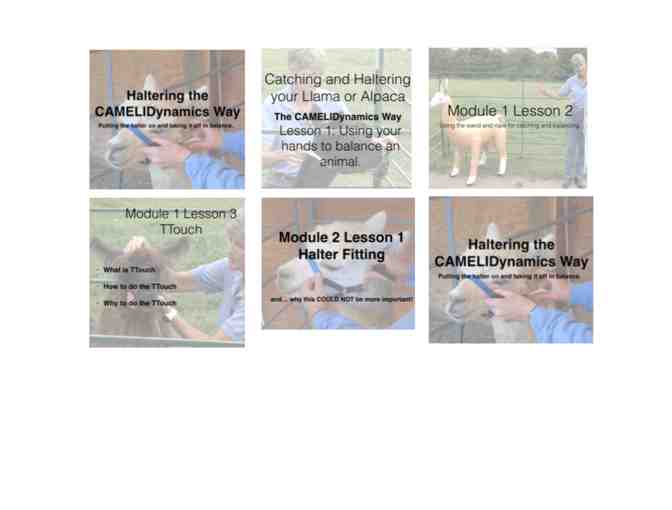 Classes in Alpaca Behavior and Handling, Online